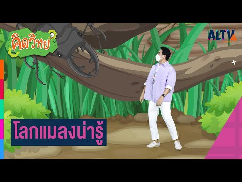 โลกแมลงน่ารู้ : คิดวิทย์