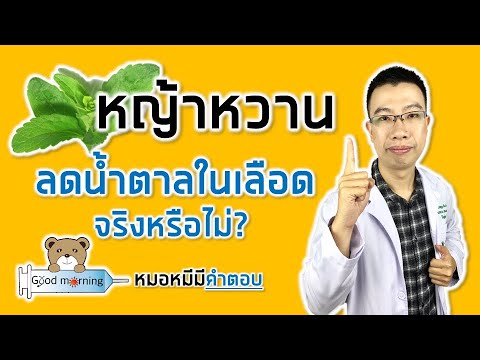 หญ้าหวานลดน้ำตาลในเลือดจริงหรือไม่ สำหรับคนเป็นเบาหวาน | หมอหมีมีคำตอบ