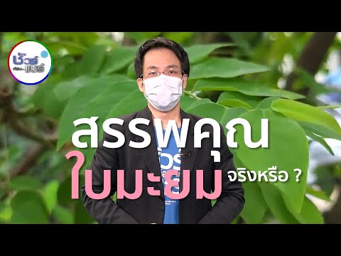 ชัวร์ก่อนแชร์ : หลากหลายสรรพคุณของใบมะยม จริงหรือ ?