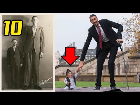 10 อันดับ ชายที่มีความสูงมากที่สุดในโลกที่ยังมีชีวิตอยู่ในปัจจุบัน l Tallest Men In The World