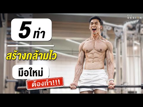 อยากสร้างกล้ามไวที่สุด ต้องเล่น 5 ท่านี้ !   Fit Design